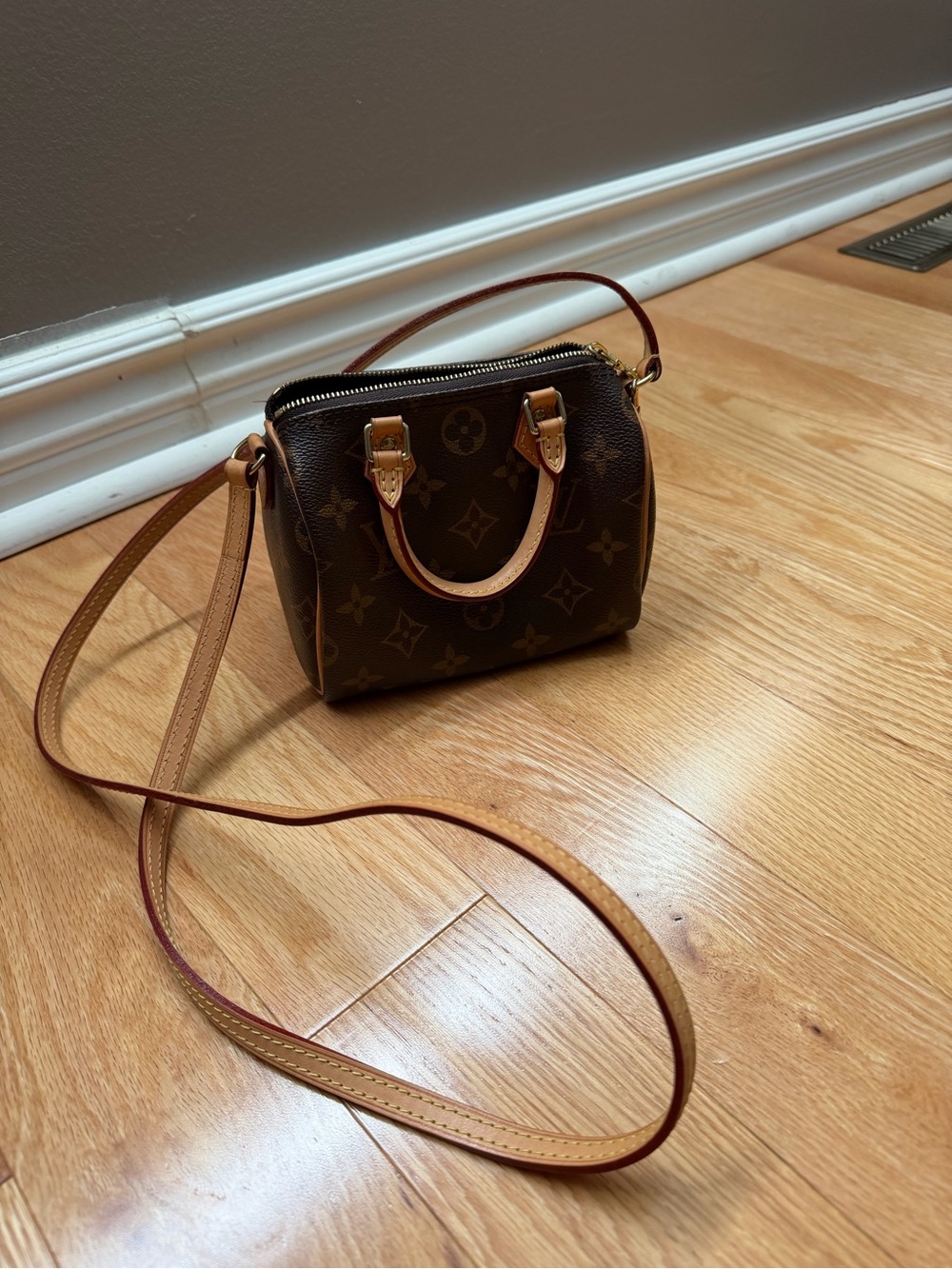 Louis Vuitton Monogram Nano Speedy